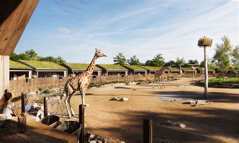 Plan your stay | The Reserve at Chester Zoo