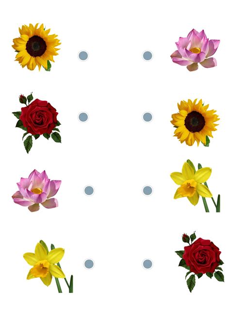 Match the Similar Worksheets for Preschoolers and Nursery Students