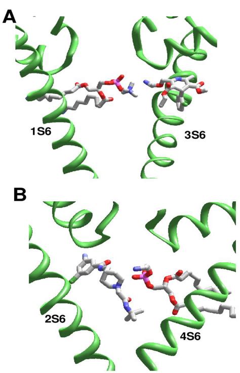 Computational Analysis of the Crystal and Cryo-EM Structures of P-Loop ...
