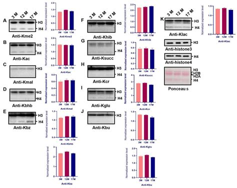 Physiological Ovarian Aging Is Associated with Altered Expression of ...