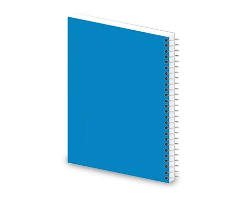 100 Page Notebook 的图像结果