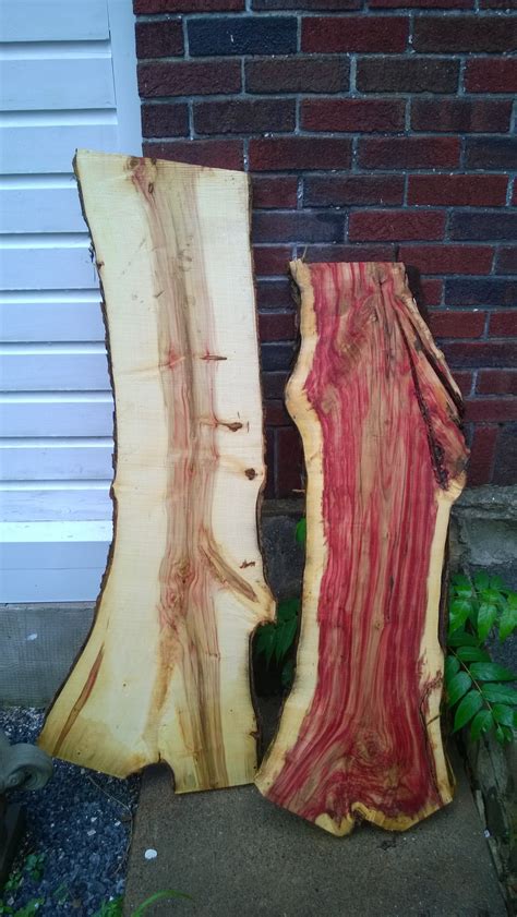 Got these box elder slabs for free last summer. Really can not wait ...