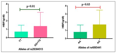 Disease-Modifying Effect of HBS1L-MYB in HbE/β-Thalassemia Patients in ...
