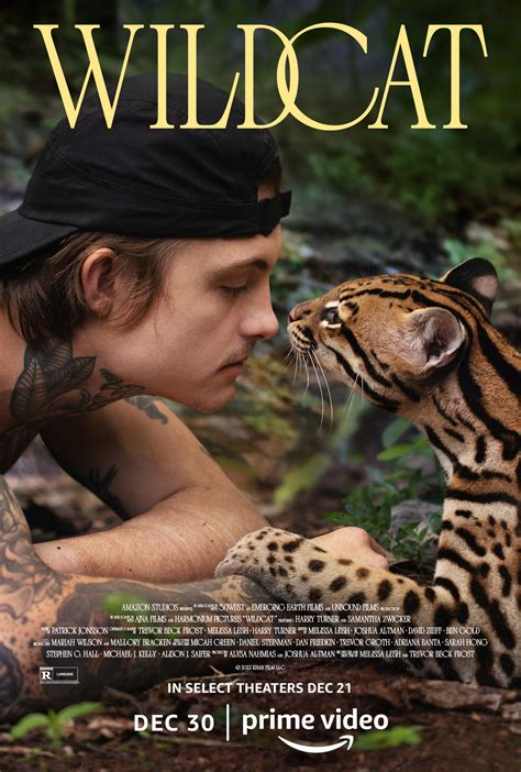 Wildcat | Age of Union