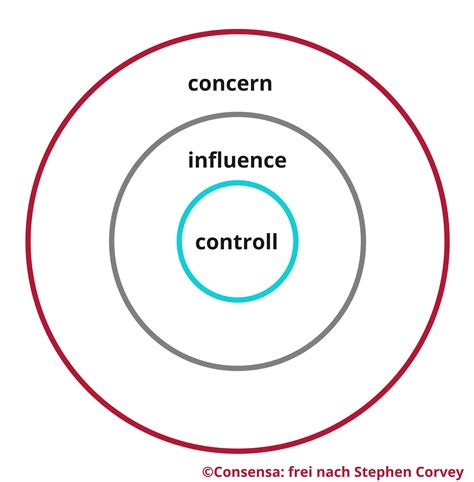 Circle of Influence | Consensa Methode