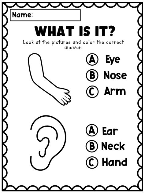 Body Parts Worksheets for Kids | Made By Teachers