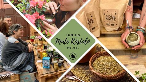 YERBA MATE KÓSTOLÓ, Alkotmány utca 3., Szentendre, Hungary, 2000, Vac ...