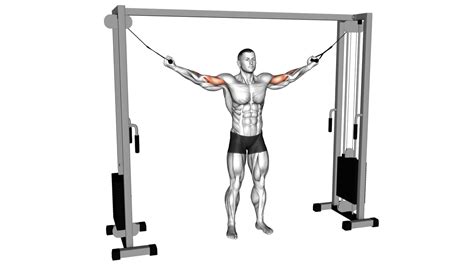 10 Cable Machine Core Exercises For A Stronger And Defined Midsection ...