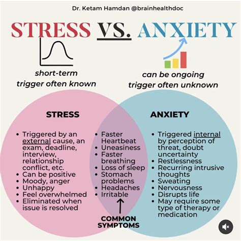 Stress vs anxiety differences symptoms and relief – Artofit