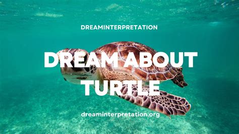 Dream About Turtle? (Interpretation & Spiritual Meaning)
