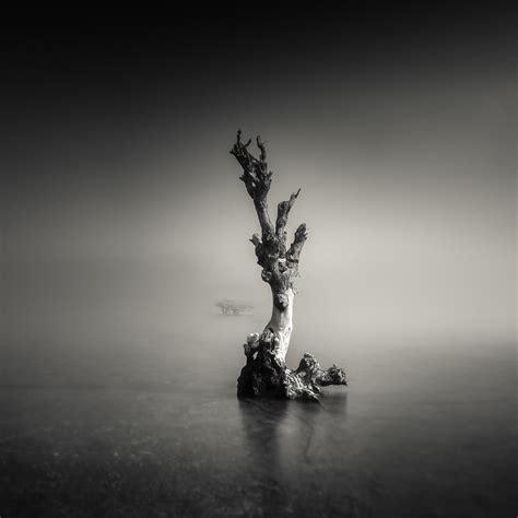 Image result for VisionTree