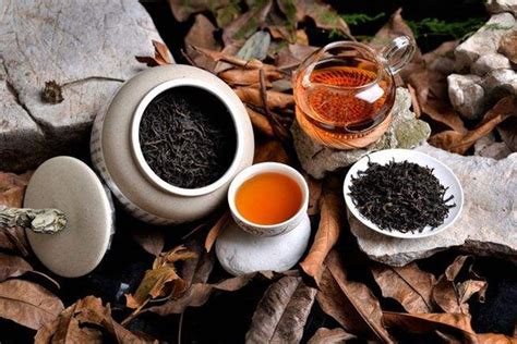 茶叶的养生保健作用有哪些？-饮茶文化-山西药茶网-茶的味道，药的功效