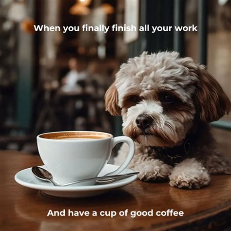 50+ Funny Coffee Memes - Every Caffeine Addict Can Relate To