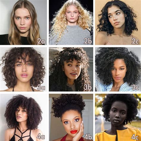 hair type chart