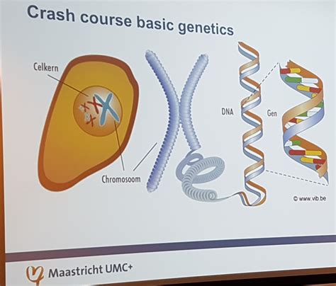 Genetics Definition 的图像结果