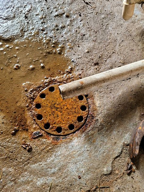 Stinky basement drain : r/Plumbing