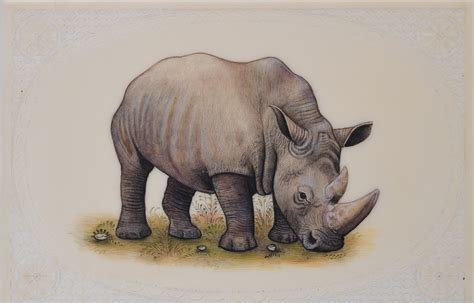 REHINO PLATE