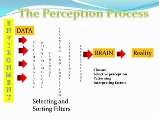 Perception Process Steps Image 的图像结果