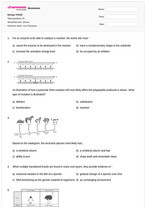 50+ Biology worksheets for Class 10 on Wayground | Free & Printable