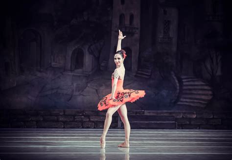 National Ballet of Ukraine Performances 的图像结果