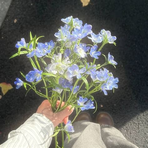 Every flower is a soul blossoming in nature. in 2025 | Nothing but ...