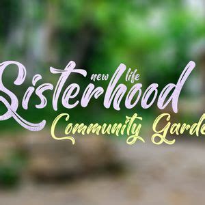 Community Garden | Sisterhood, New Life Dream Center, Modesto, 18 May ...