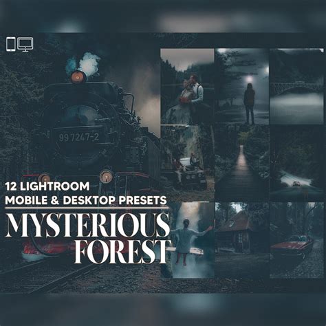 12 Mysterious Forest Lightroom Presets, Dreamy Moody Mobile Preset ...
