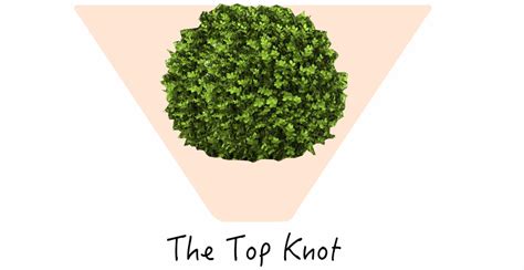 Pubic Hairstyles for Men and Women – What Looks Best Down There ...