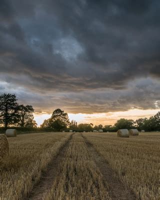 Download wallpaper field, summer, the evening, hay, section landscapes ...