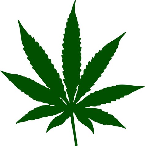 20,000 Free Pot Leaf Illustrations and Drawings - Pixabay
