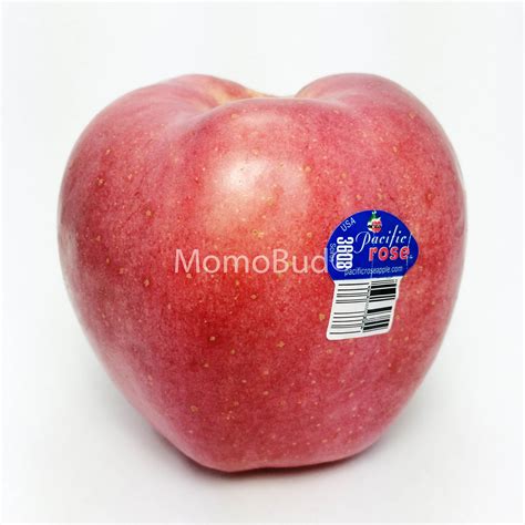Enza™ Pacific Rose Apple — MomoBud