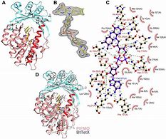 Image result for epoxidase