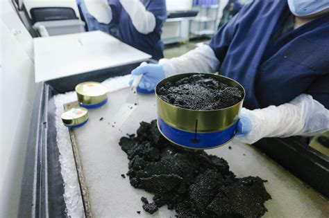 Unveiling the Cost: How Much is Caviar and Why is it So Expensive ...