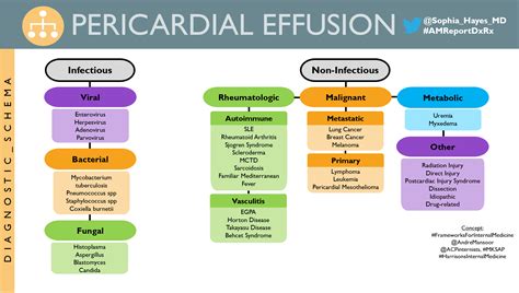 Differential Diagnosis Pleural Effusion at Scott Gerber blog