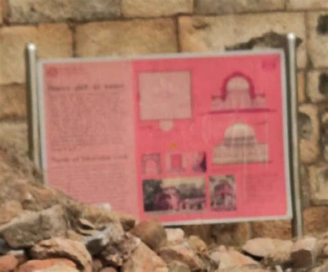 Xiaomi Redmi Note 7 Pro: 48MP vs 12MP camera shootout | Digit