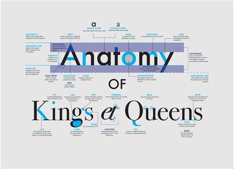 Letterform anatomy – Artofit