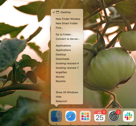 Image result for Opt Folder Linux