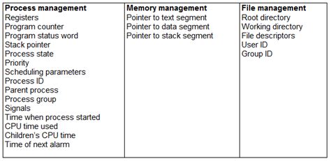 Differentiate BTN Process vs Program in the Table 的图像结果