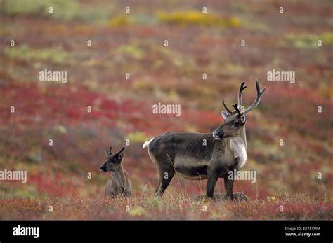 Image result for Unix Command Line