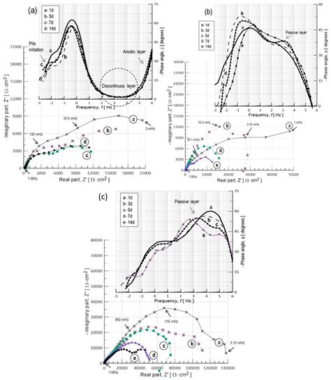 Microstructural and Electrochemical Study: Pitting Corrosion Mechanism ...