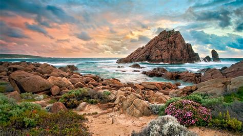 Beach 的图像结果