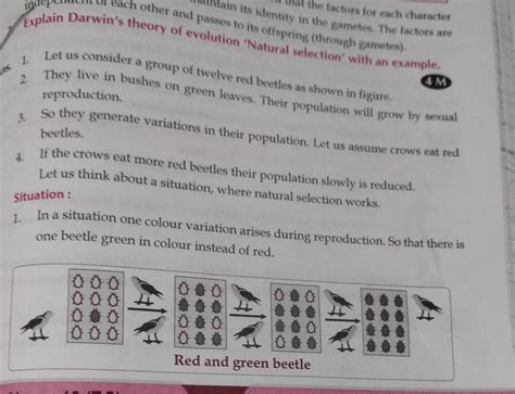 explain Darwin's theory of natural selection with an example - Brainly.in