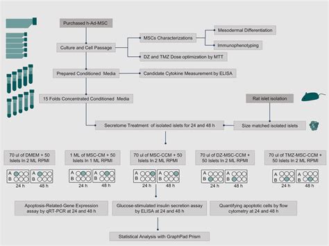 Procedure 的图像结果