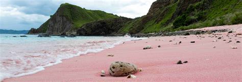 Pink Sand Beach Komodo
