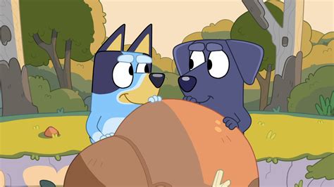 Bluey Season 1, Episode 43 | Camping