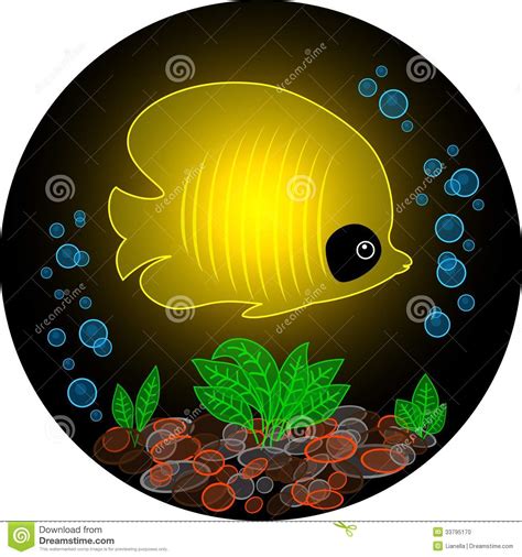 Genomskinlig Fisk