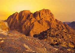 Mount Sinai 的图像结果