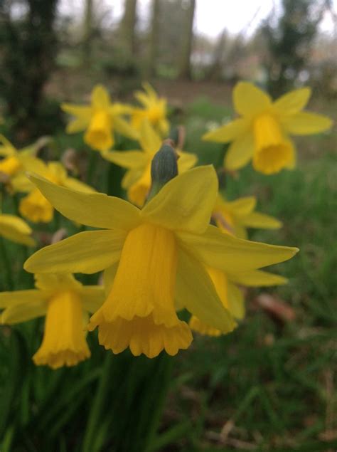 This Spring 的图像结果