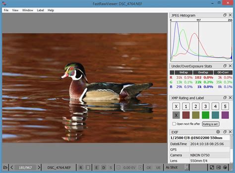 Image result for Fast Raw Viewer Tutorials