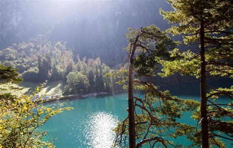 Wallpaper forest, the sun, rays, mountains, nature, lake for mobile and ...